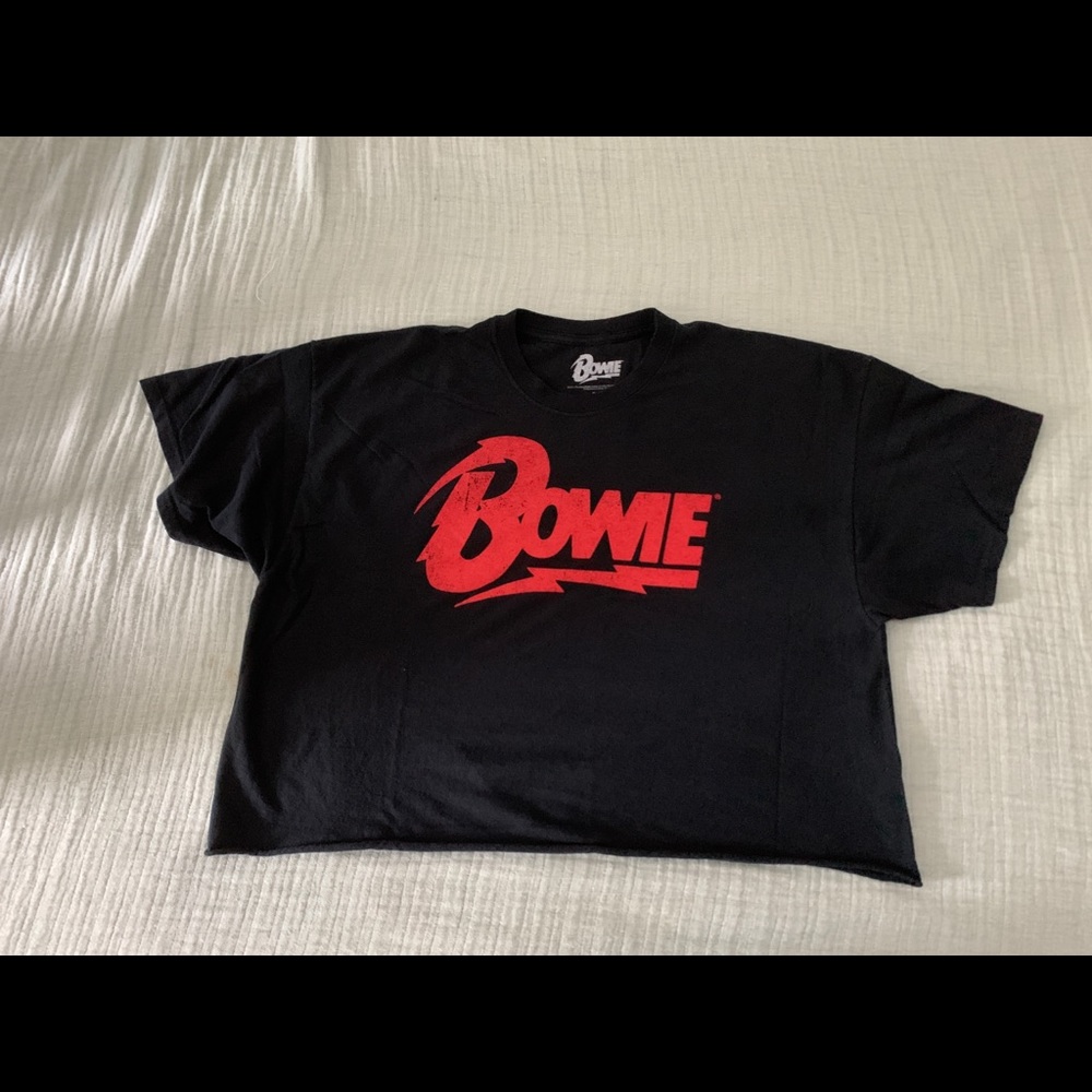 David Bowie plus size crop tee